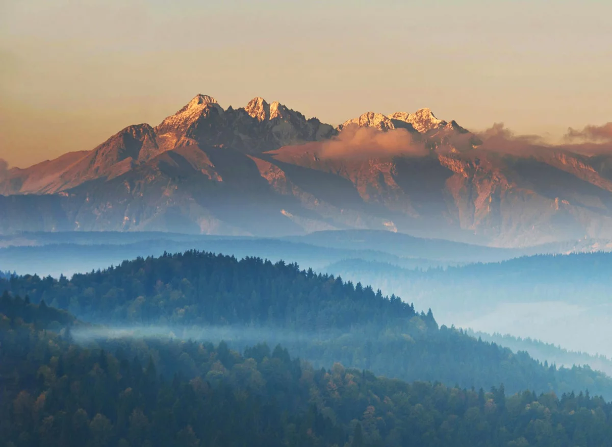 Tylko u Nas jak wykonywać trening w 7 dni!