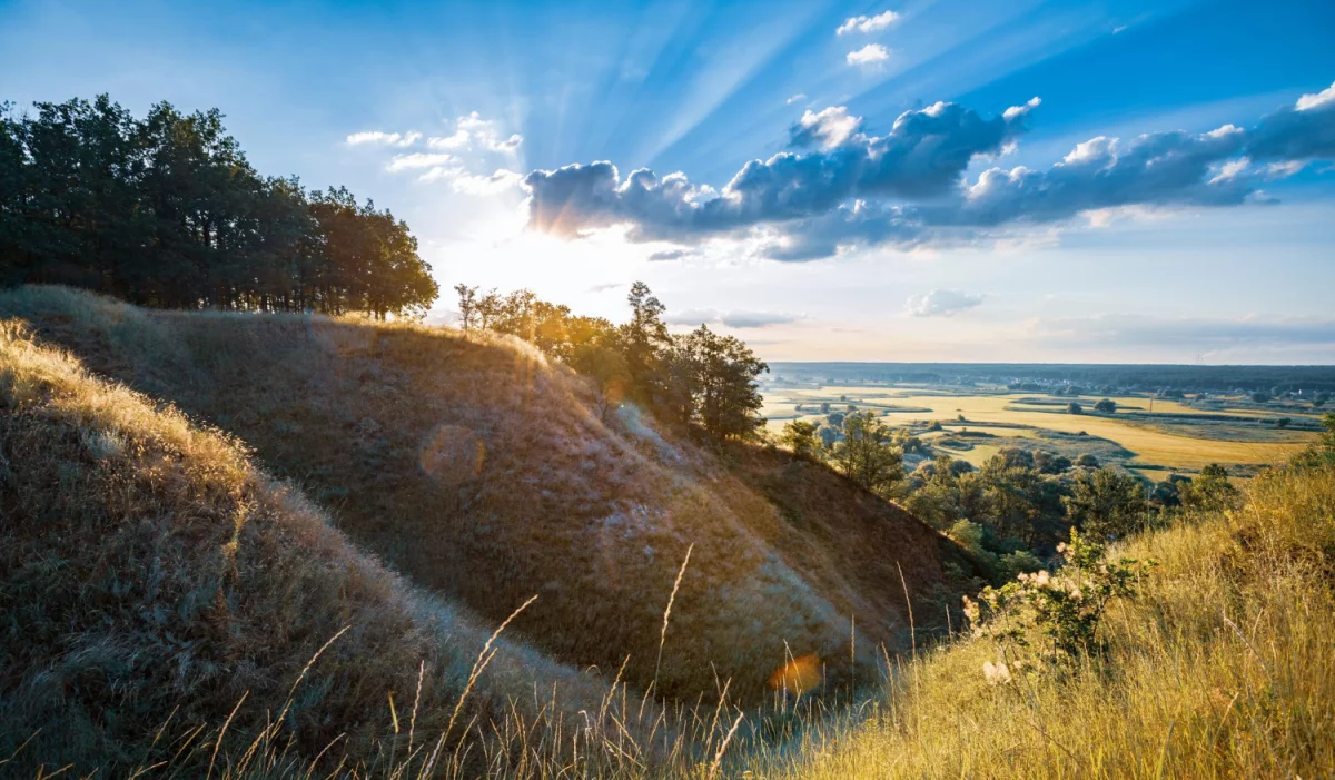 Oto jak lepiej reklamować się