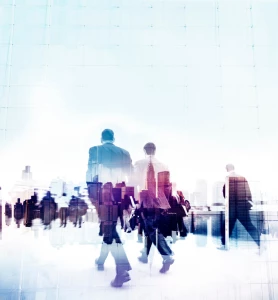 obliczyć ślad węglowy w firmie? Nie?